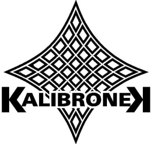 KaliBronek - licencja jednostanowiskowa, z opcją przenoszenia na USB