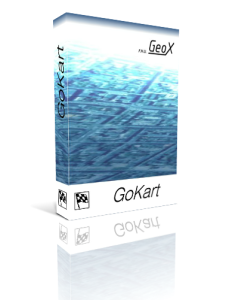 GoKart - Licencja jednostanowiskowa